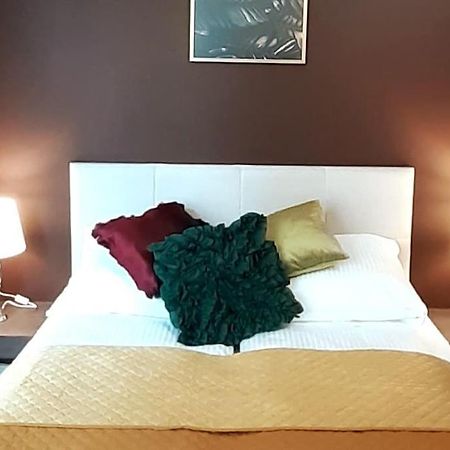 קרקוב Luxury Apartment - Rakowicka 6 מראה חיצוני תמונה