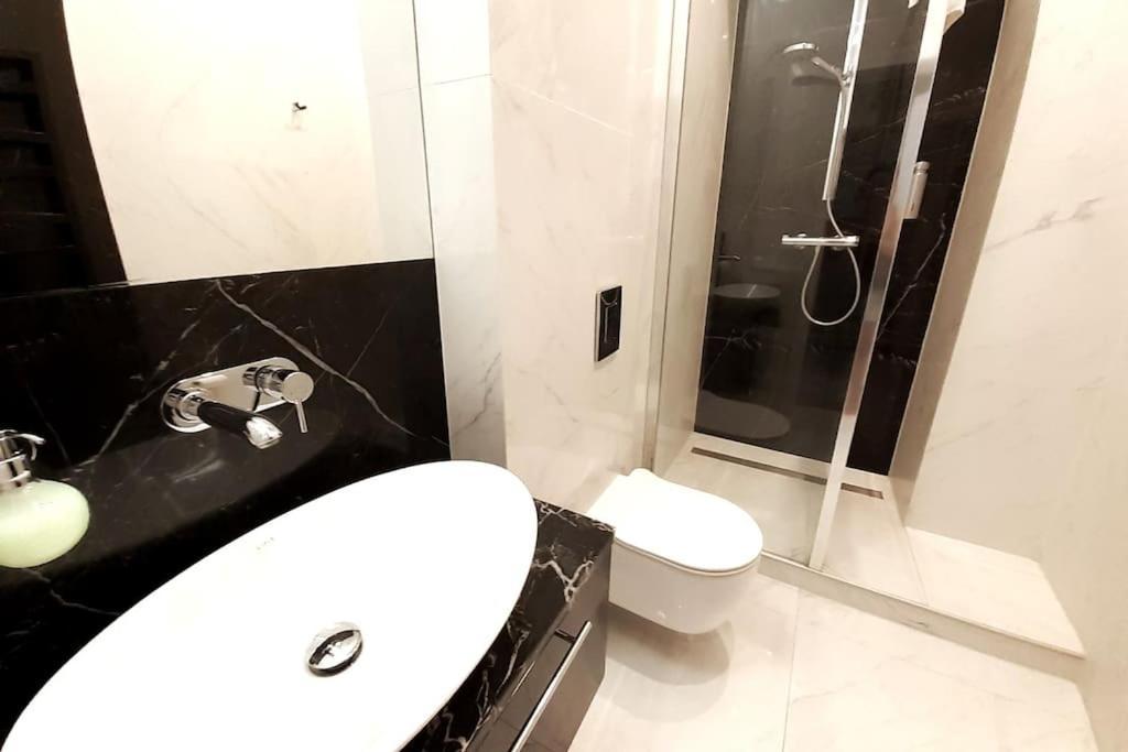 קרקוב Luxury Apartment - Rakowicka 6 מראה חיצוני תמונה